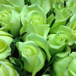 Meet your Posher, Eli